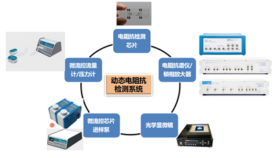 1634199443118982.png image.png